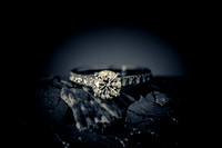 Tony&Stacey-0405